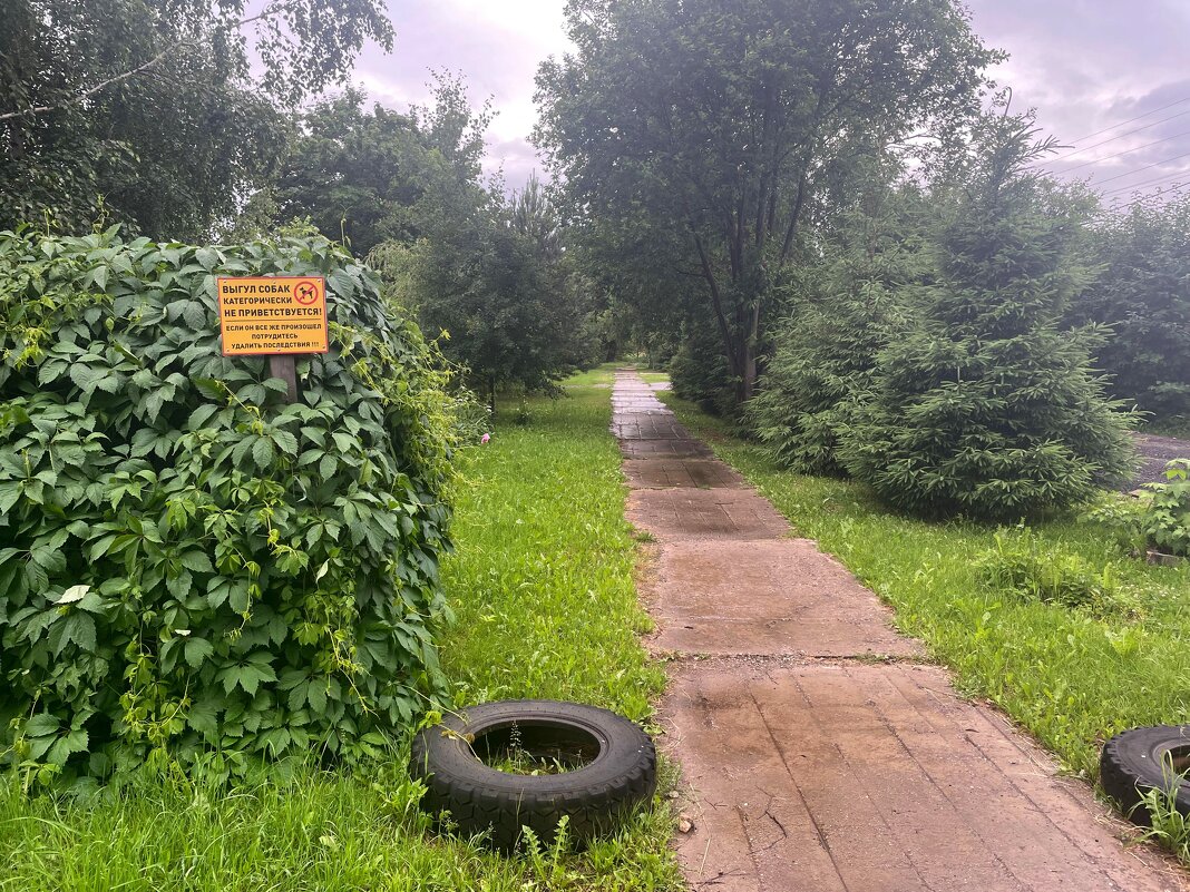 *** - Андрей Л. В.