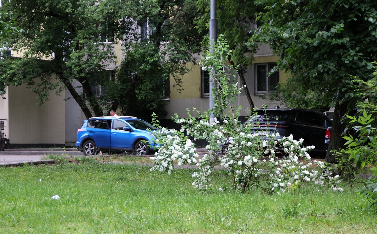 Город - Олег 