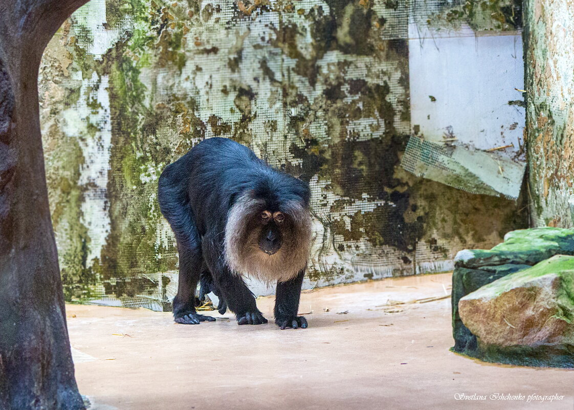 Orientarium ZOO Łódź - Светлана Ищенко