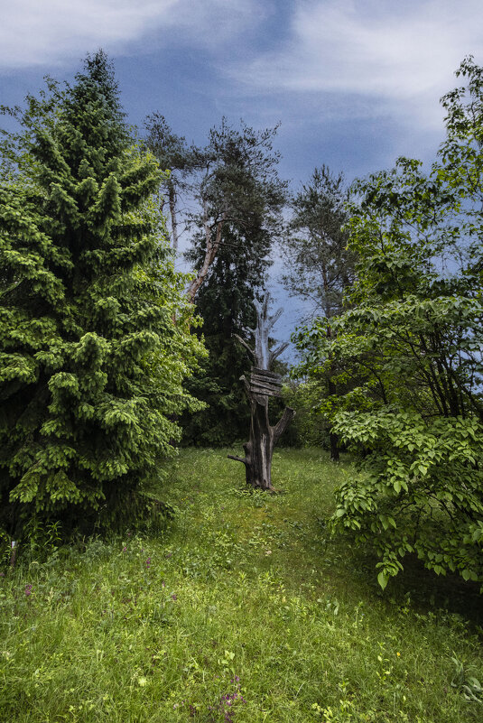 *** - Николай 