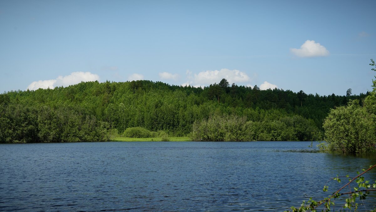 Летняя природа - Александр 