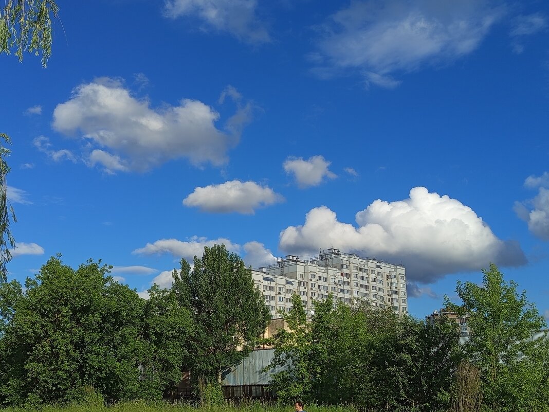 * * * - Андрей Лукьянов * * * - Андрей Лукьянов