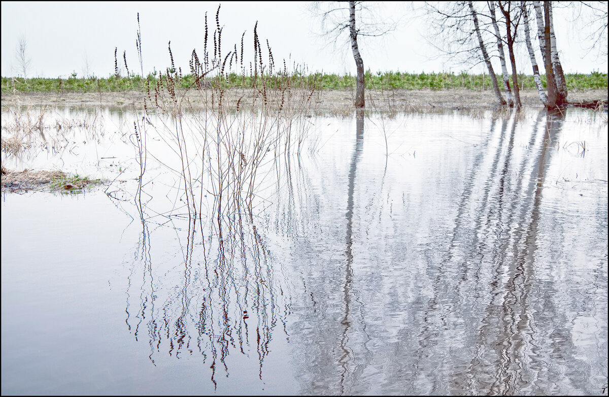 Талая вода - **** vedin