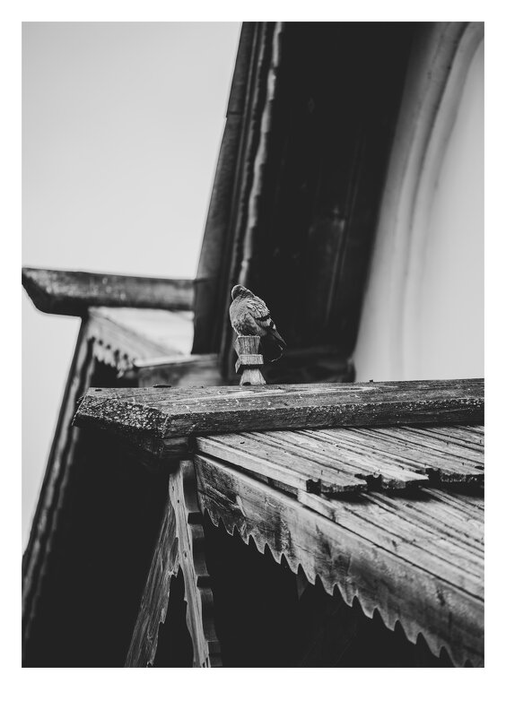 Крыши Великого Новгорода. - Svyatoslav [Artisan] Ph.
