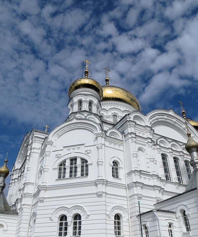 Устремляясь в небо - Лариса С.