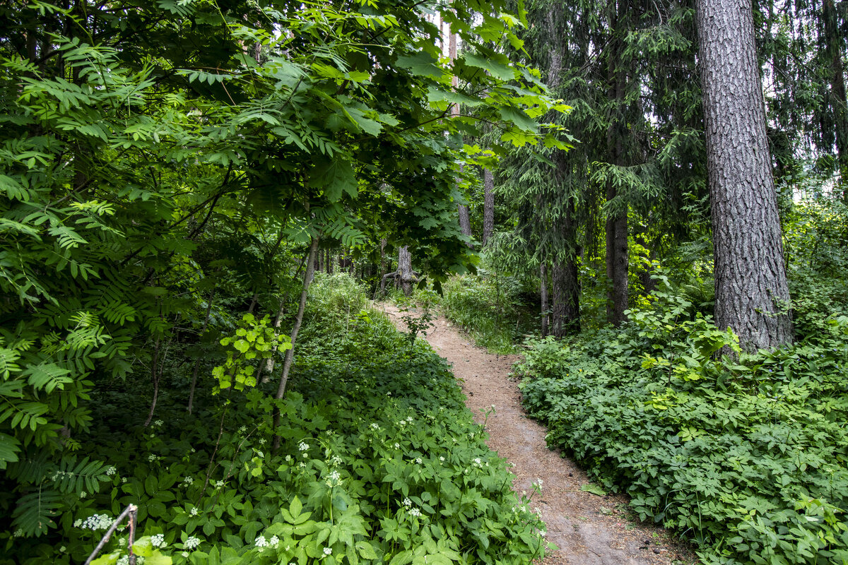 *** - Николай 