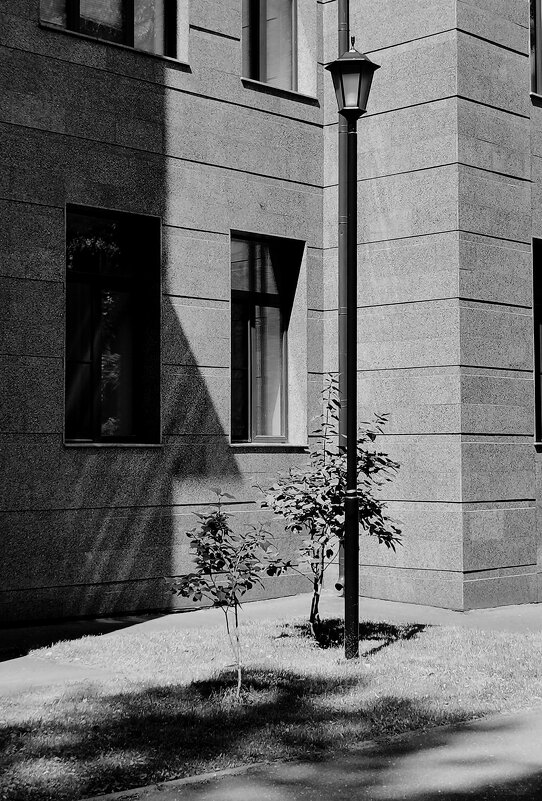 Уличная фотография. - Любимова Ольга 