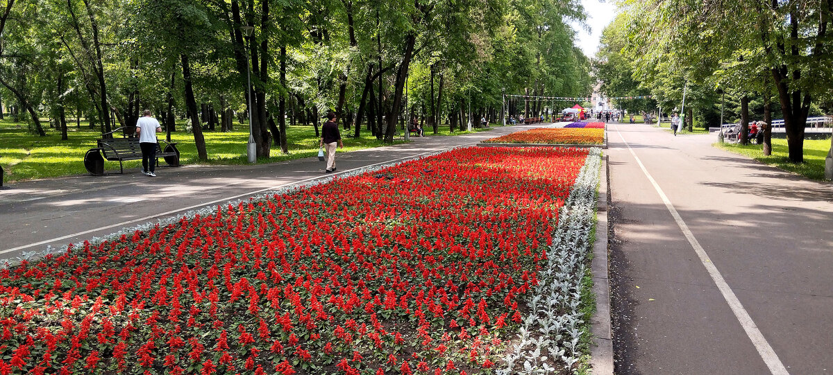 Цветы - Радмир Арсеньев