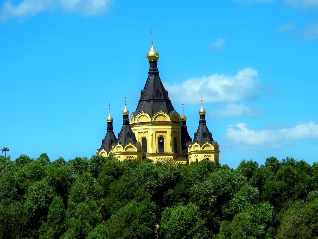 *** - Евгений Васильев