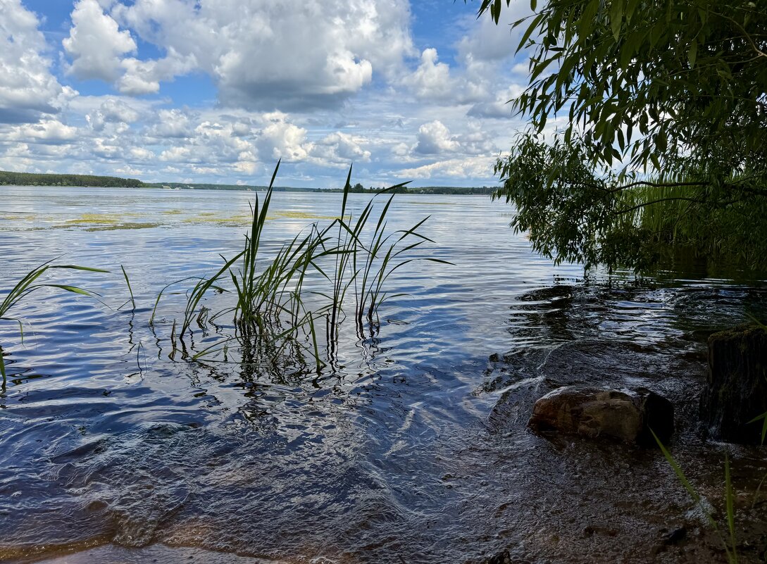 Вода манила… - Любовь 