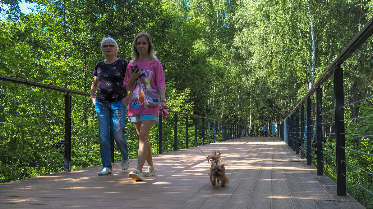Прогулки в Летнем Парке - юрий поляков Прогулки в Летнем Парке - юрий поляков
