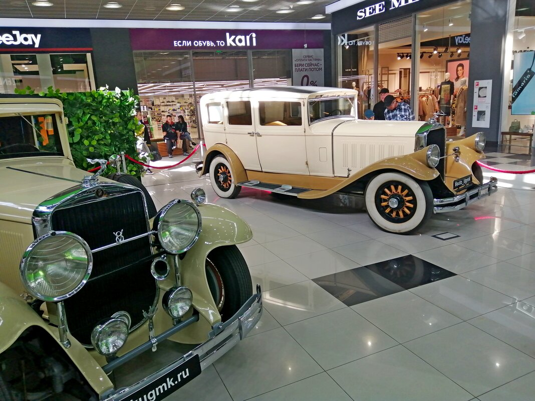 Выставка в ТЦ - Anguss Grand Выставка в ТЦ - Anguss Grand