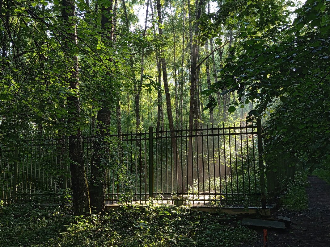 А что было бы не в солнечный день? - Андрей Лукьянов А что было бы не в солнечный день? - Андрей Лукьянов