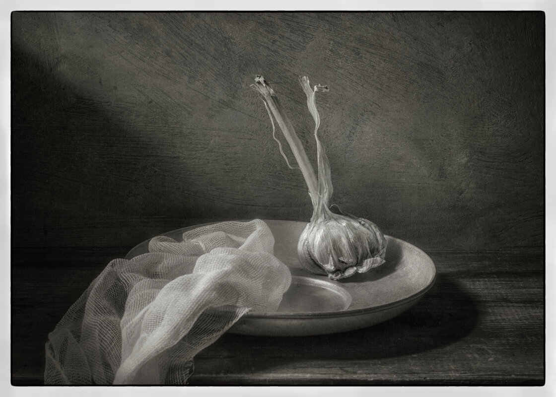 /*/ - Oleg Rastorguev
