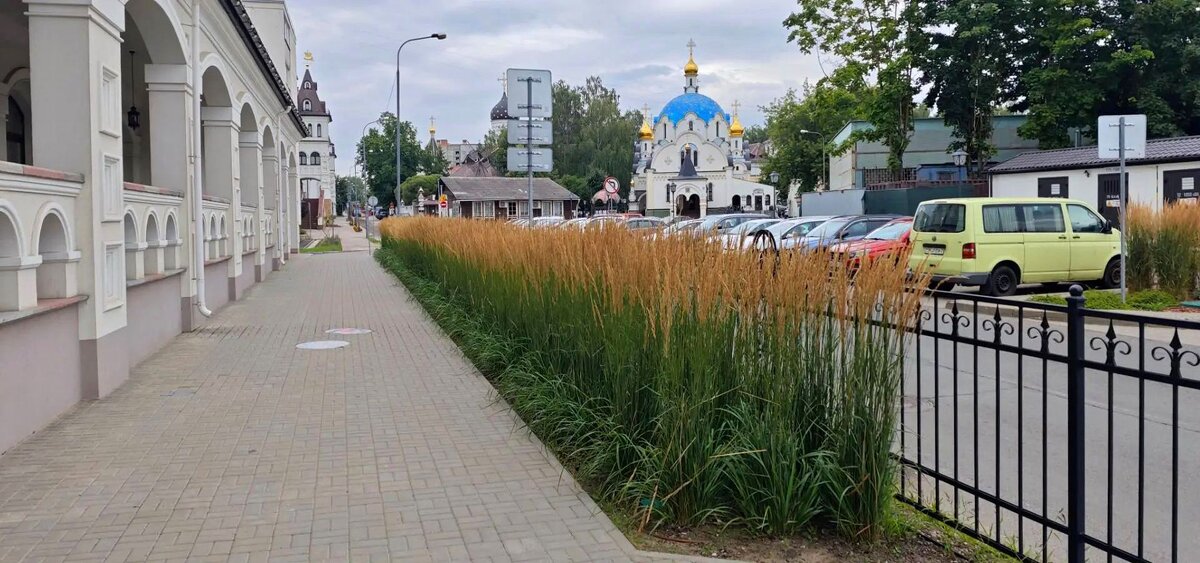 *** - Андрей Л. В.