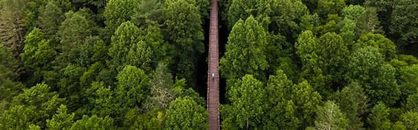 Маршрут «Вирджиния Крипер Трейл» (Virginia Creeper Trail), Дамаск, штат Вирджиния, США - Валерий Кокорев Маршрут «Вирджиния Крипер Трейл» (Virginia Creeper Trail), Дамаск, штат Вирджиния, США - Валерий Кокорев