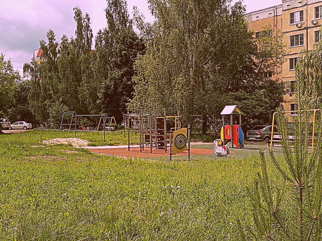 Двор. - Владимир Драгунский