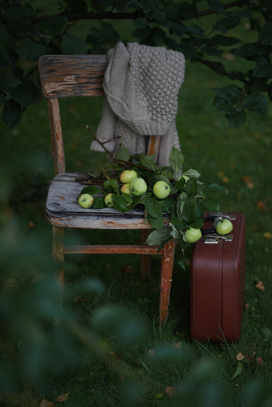 С яблоками... - Liliya 