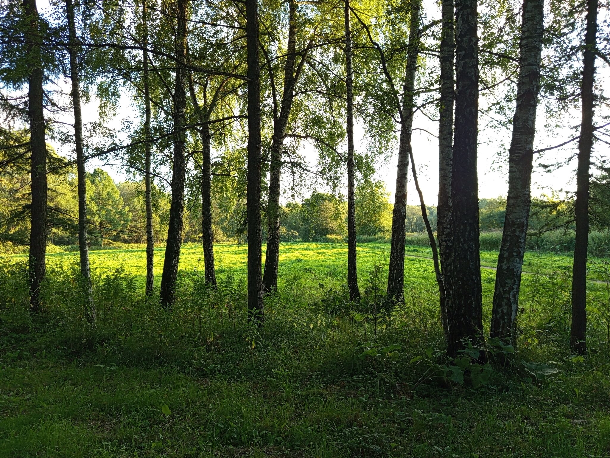 * * * - Андрей Лукьянов * * * - Андрей Лукьянов