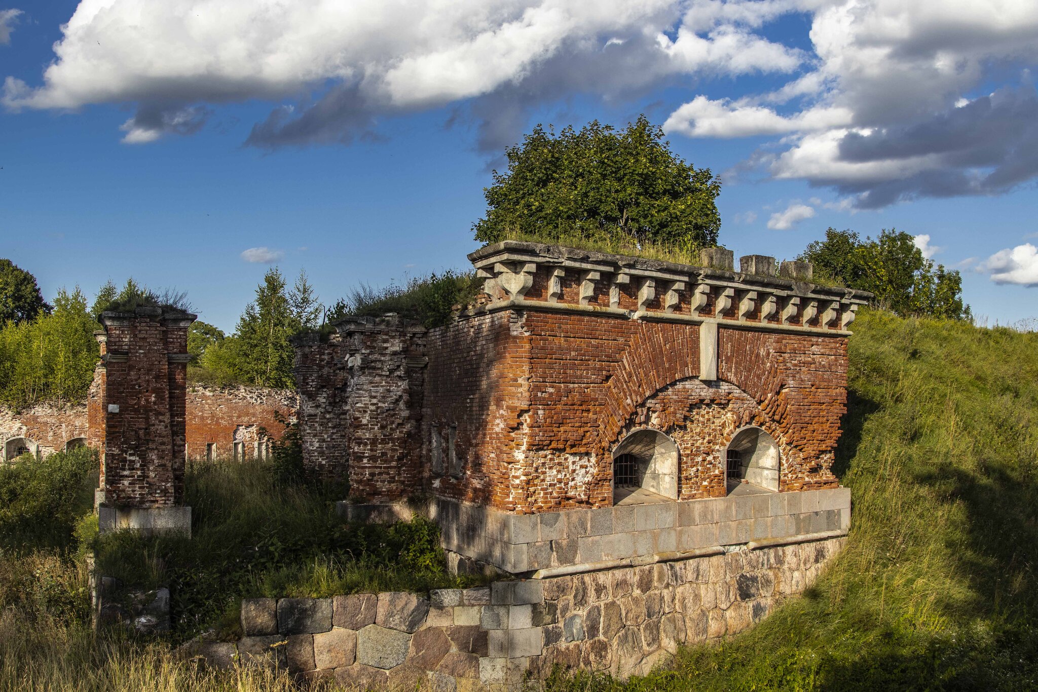 *** - Николай 