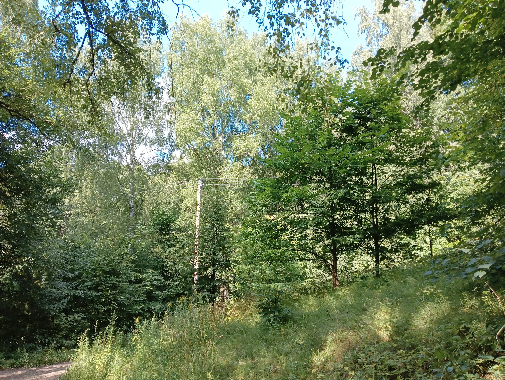 природа :: Владимир 