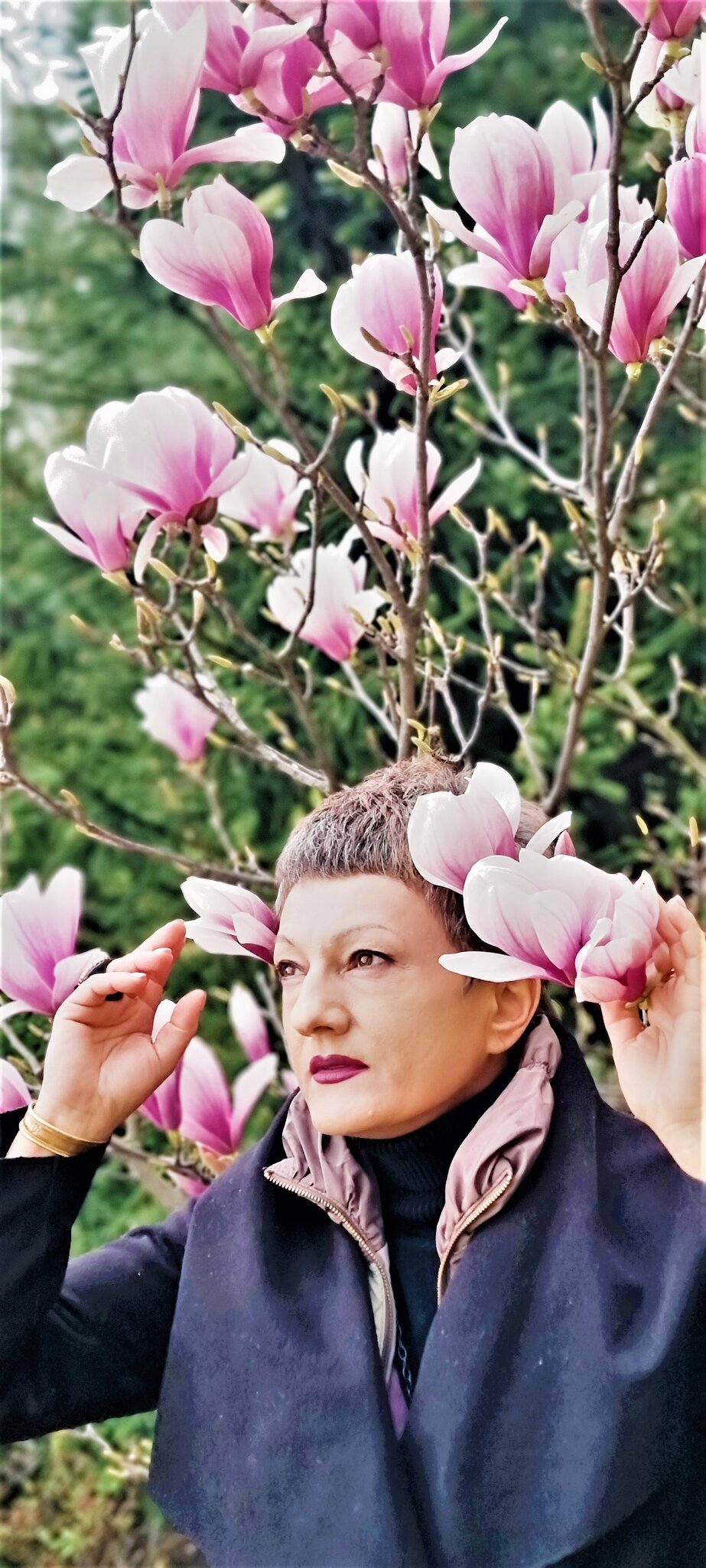 Магнолия :: Лана 