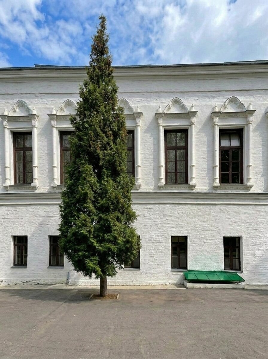 Монастырское :: Анатолий Жарский Монастырское :: Анатолий Жарский