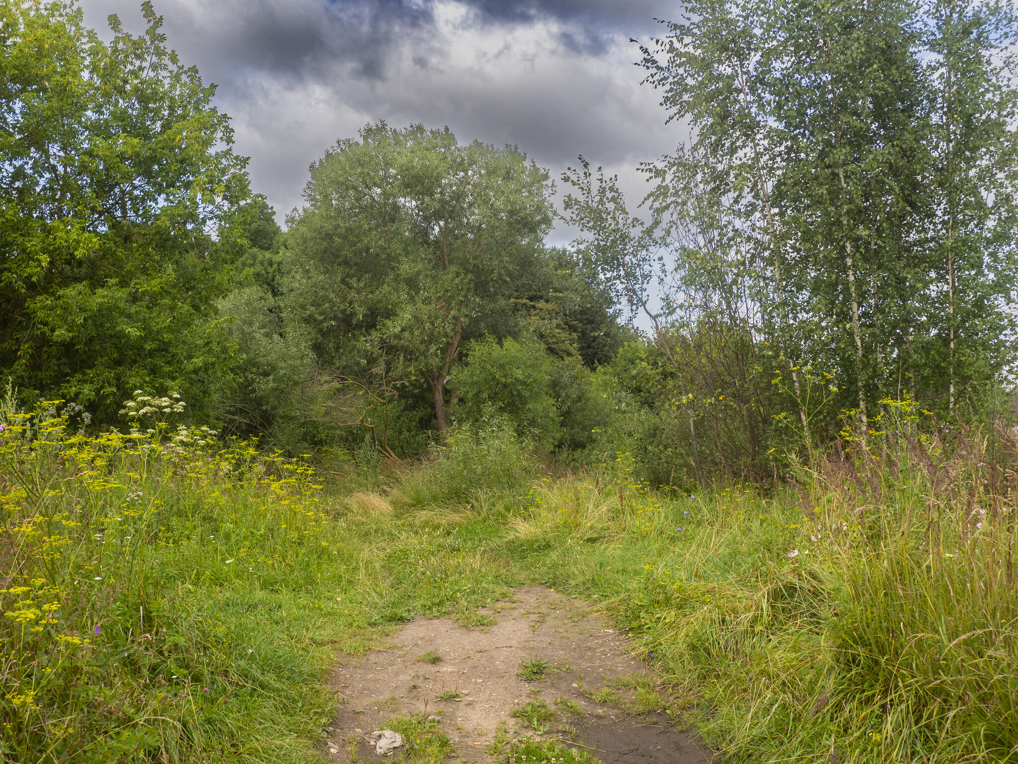 Красива природа :: Yuriy V Красива природа :: Yuriy V
