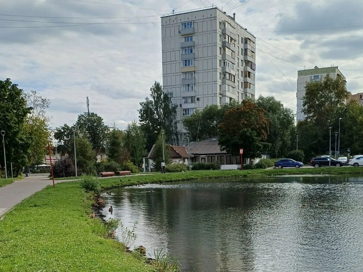 Пруд в сквере :: Ольга Довженко Пруд в сквере :: Ольга Довженко