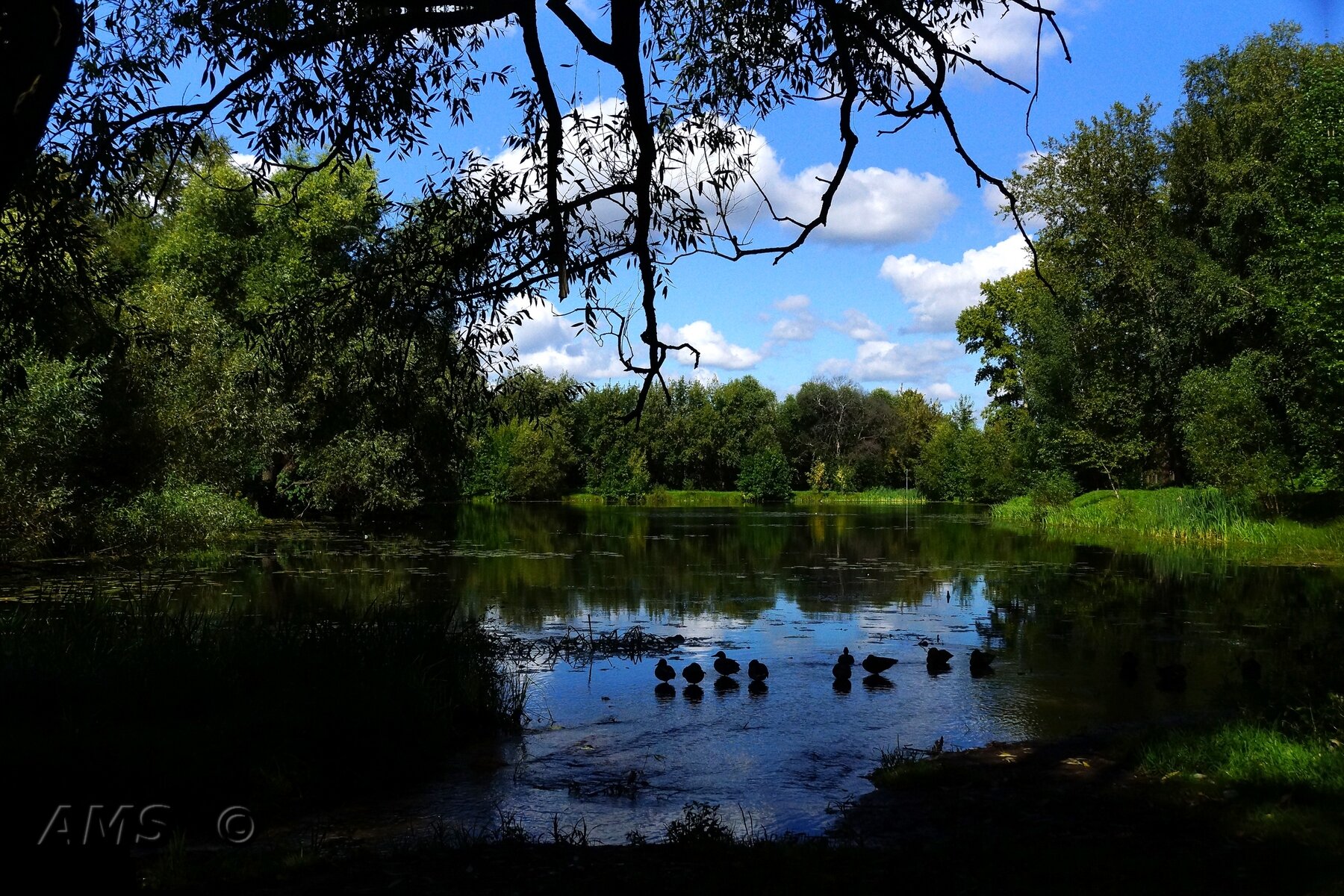 Природа :: kolyeretka Природа :: kolyeretka