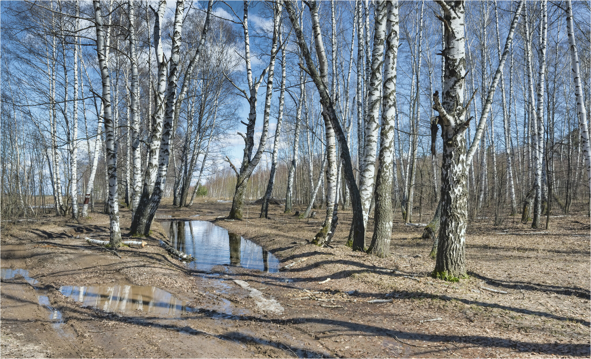 Апрель :: **** vedin Апрель :: **** vedin