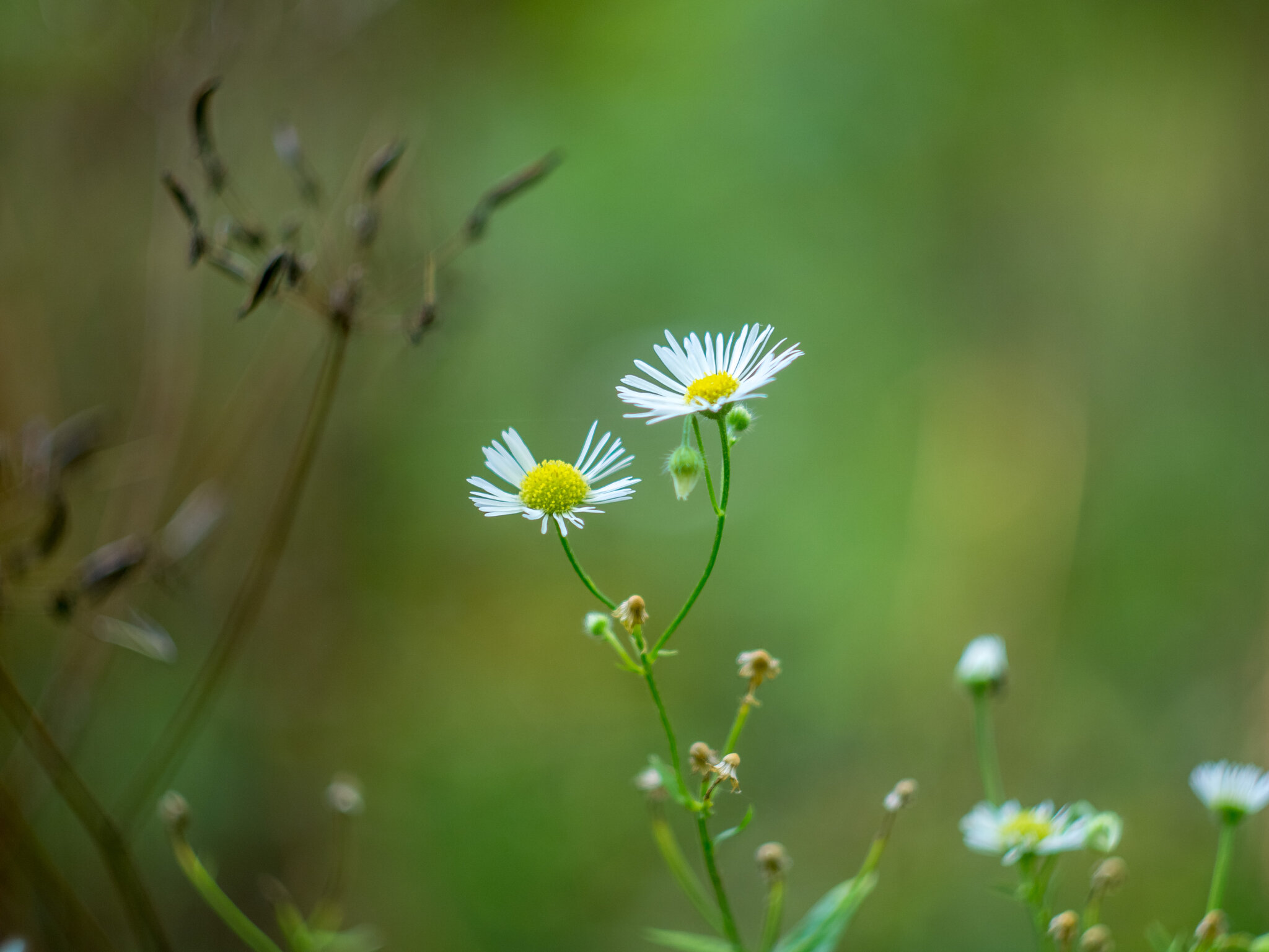 Природа :: Yuriy V Природа :: Yuriy V