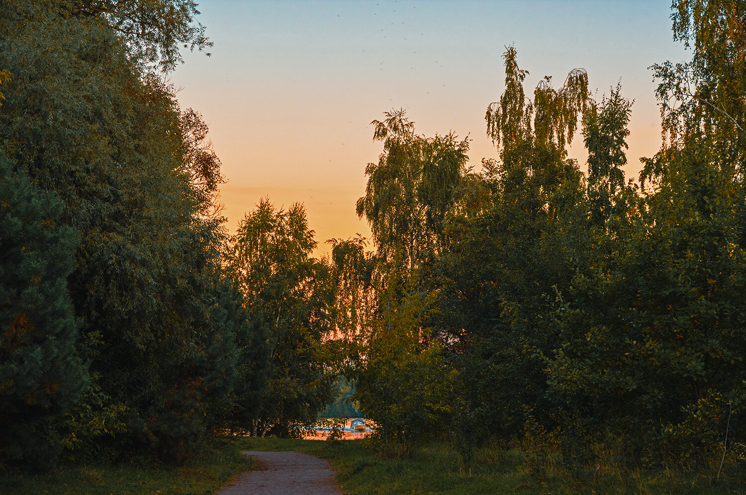 К хорошей погоде. :: Сергей Фомичев К хорошей погоде. :: Сергей Фомичев