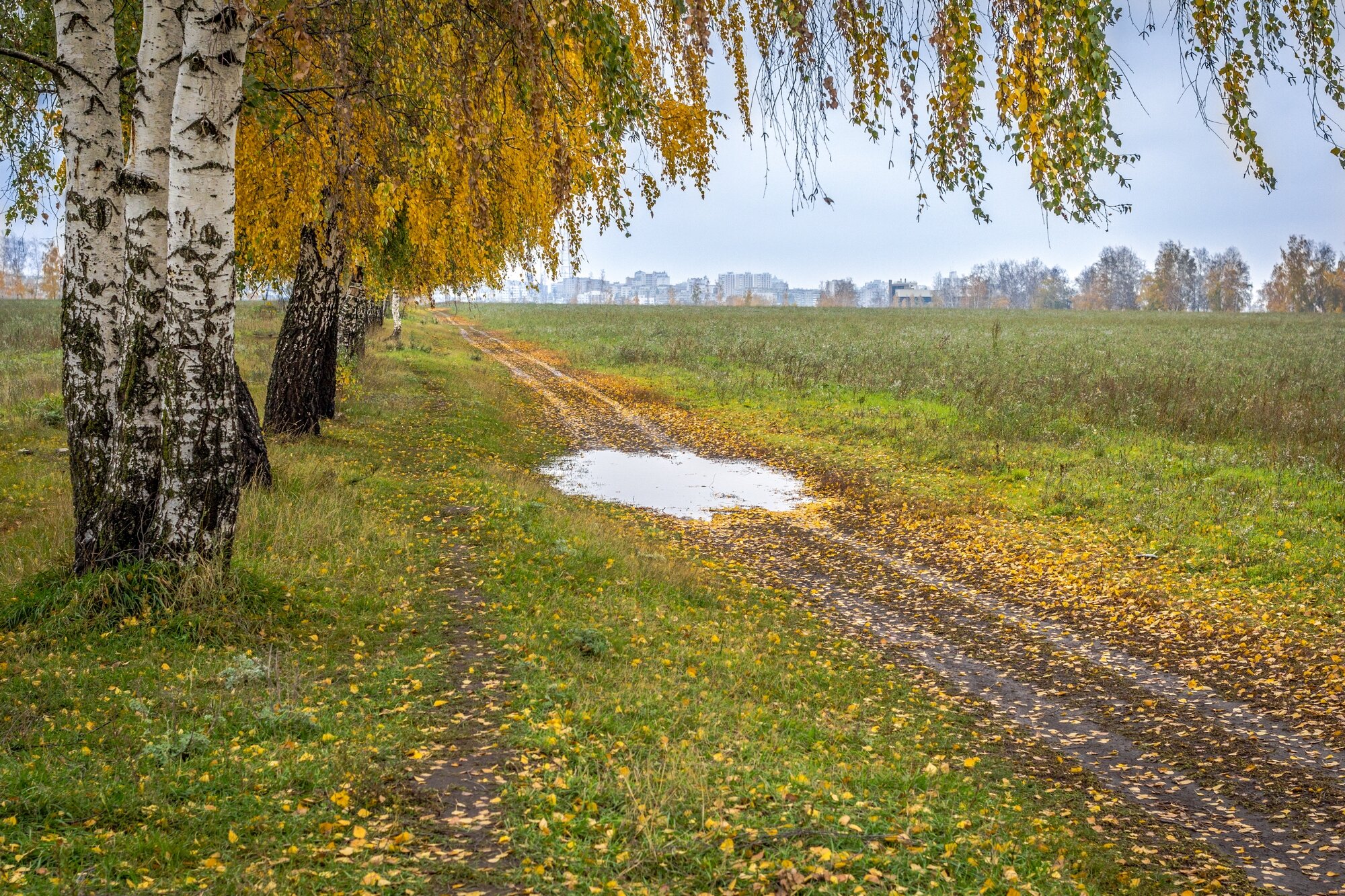 Дорога осени ... :: Ravile Дорога осени ... :: Ravile
