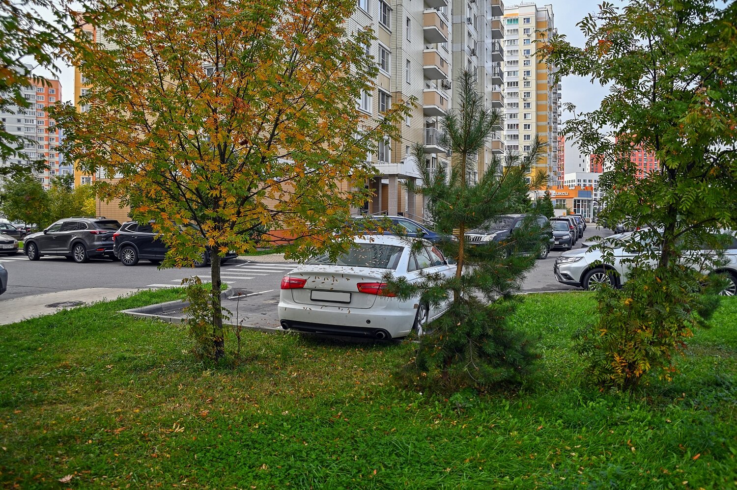 Осень в городе :: Валерий Иванович Осень в городе :: Валерий Иванович
