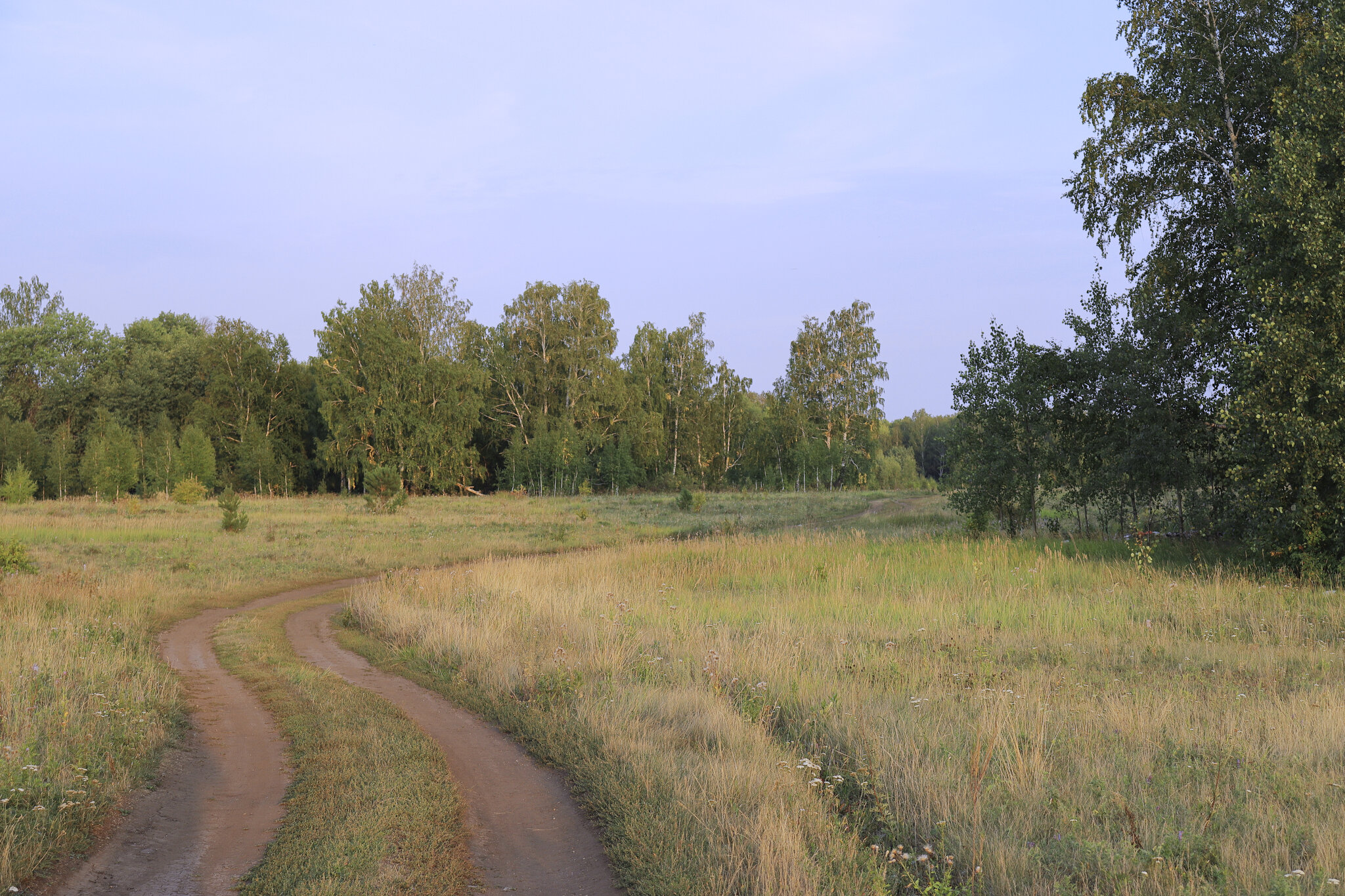 Полевая лорога. :: Александр Николаев Полевая лорога. :: Александр Николаев