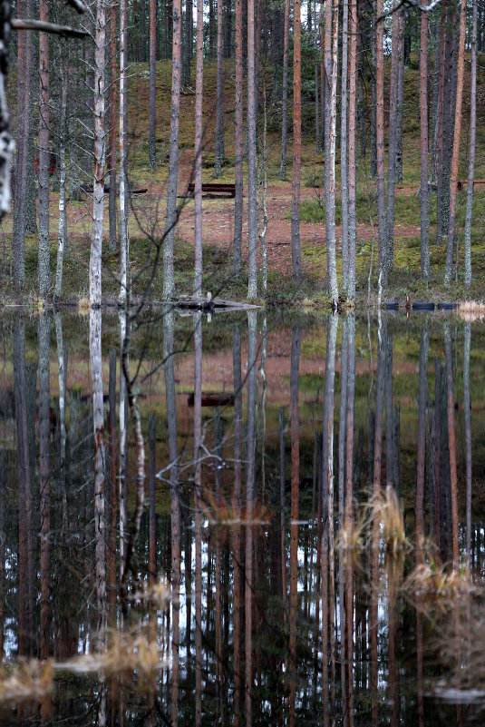 озеро - Диана Абдуллина