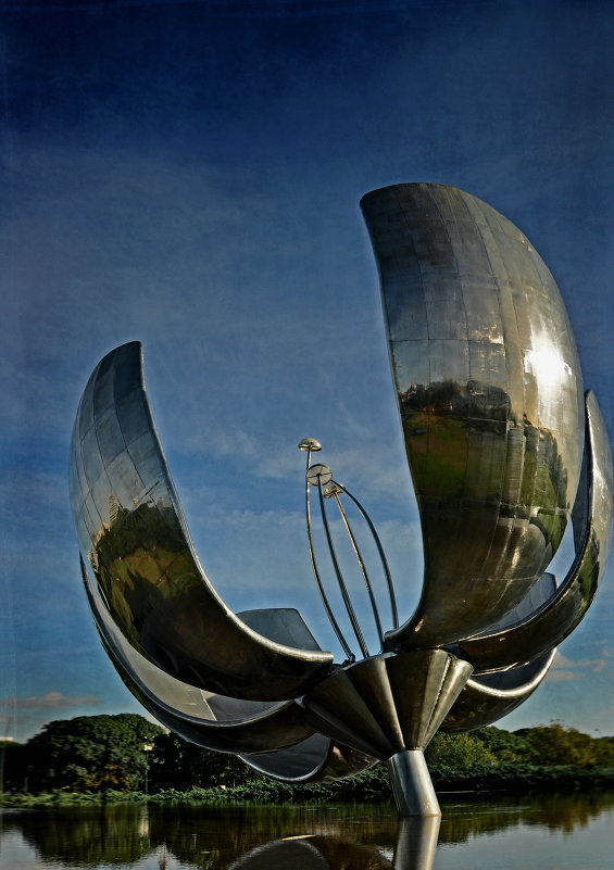 Floralis Generica - Алексей 