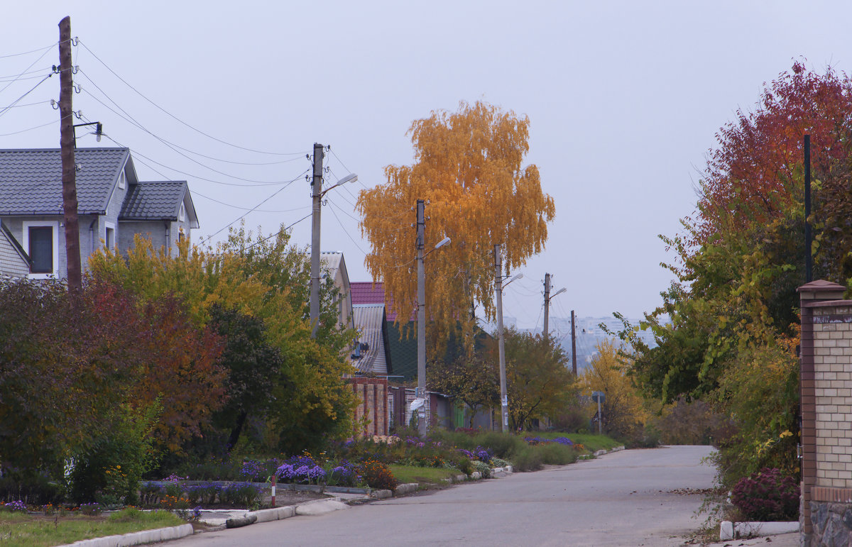 Харьков. Пригородный поселок - Владимир Кроливец