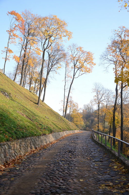 Осень в Вильнюсе - Марина Лучанская