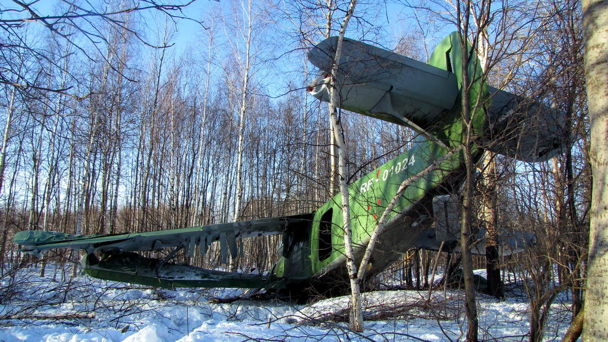 Ан-2. Аварийная посадка - Марина Морозова