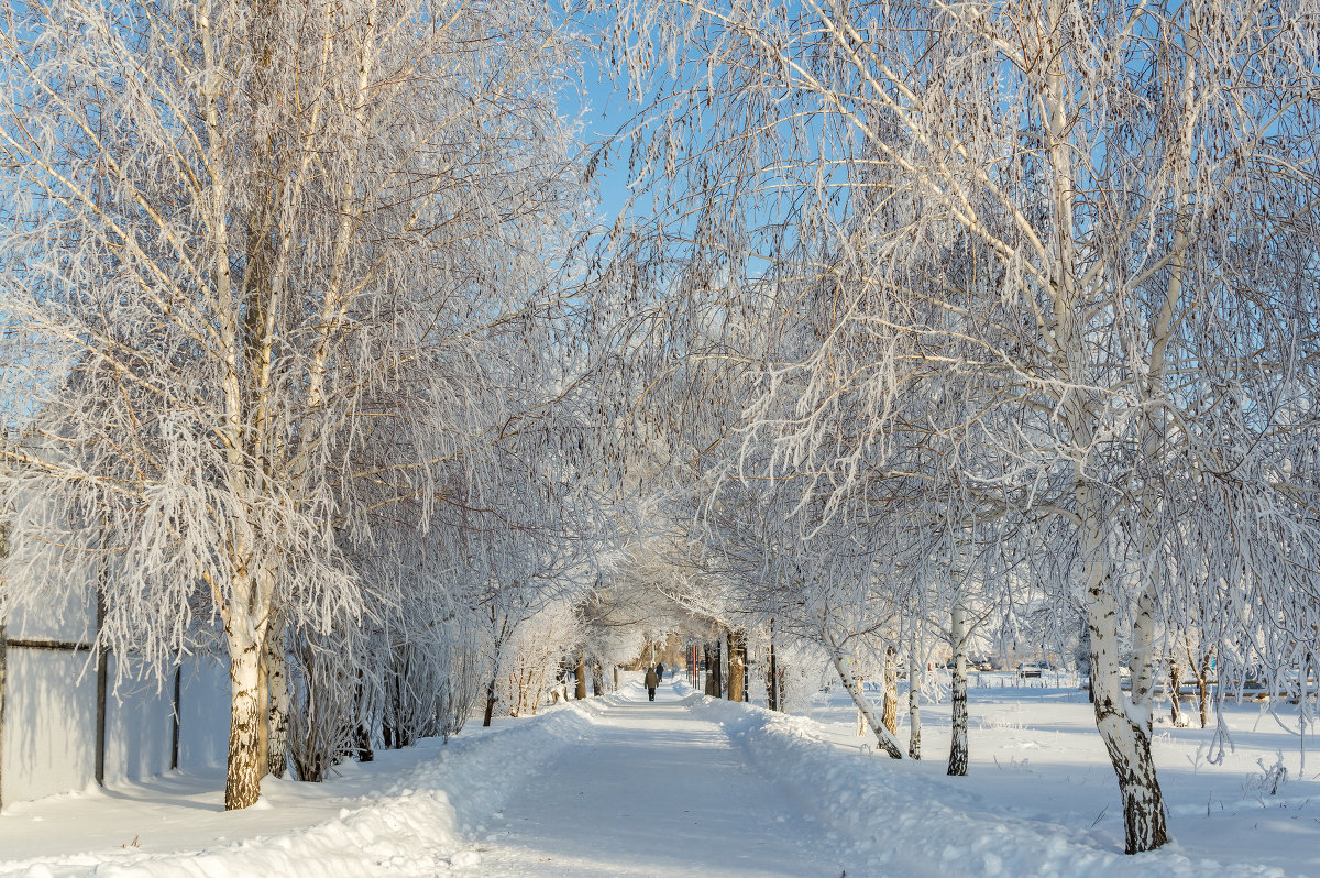 *** - Александр Кислицын