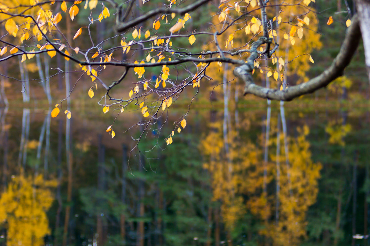 Latgale - Jurijs Suhodolskis Latgale - Jurijs Suhodolskis