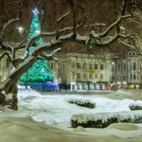 "Tombe la neige" :: slavakovua 