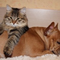 Это любоффф :: Татьяна 