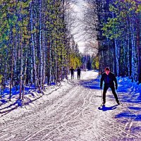 Февраль...На солнечной лыжне! :: Владимир 