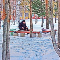 Декабрь...В  зимнем сквере наедине с собой! :: Владимир 