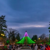 Предновогоднее :: Юрий Лев