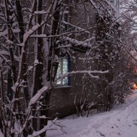 Предновогоднее :: Наталья Лунева 