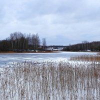 Про смоленские озёра (репортаж из поездок по области) :: Милешкин Владимир Алексеевич 